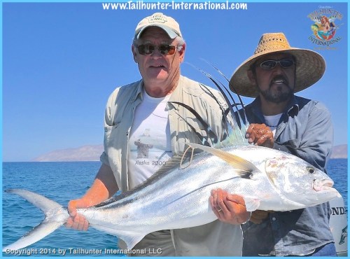 rooster tags rod brown 3-14