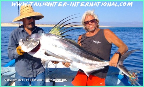 Rick rooster 5-14 tags