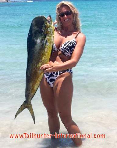 Amy tags 6-14 dorado