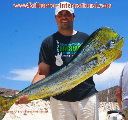 dorado Christian Regan tags small 6-14