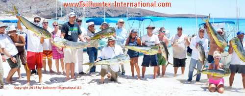 Group shot small tags 6-14