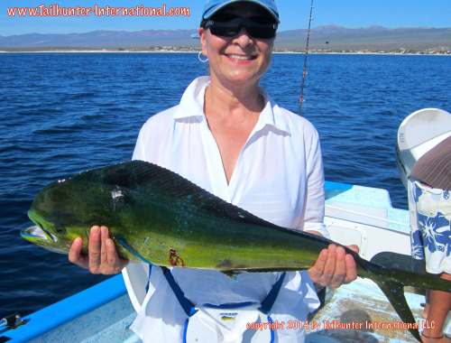 Becky Munoz tags small dorado 7-14