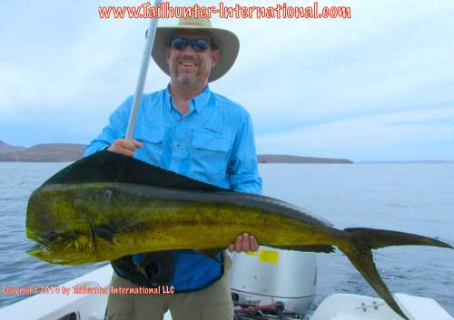 dorado phil matteson tags small 7-14