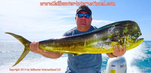 dorado raul tags small 7-14