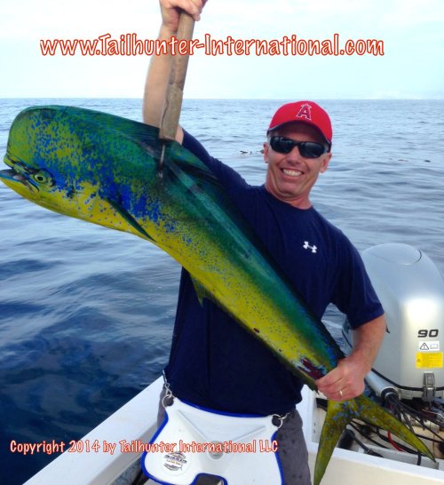 martis dorado tags small 7-14