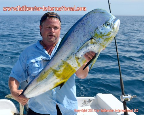 moss dorado tags small 7-14