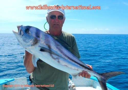 rooster dick carroll 7-14 small tags