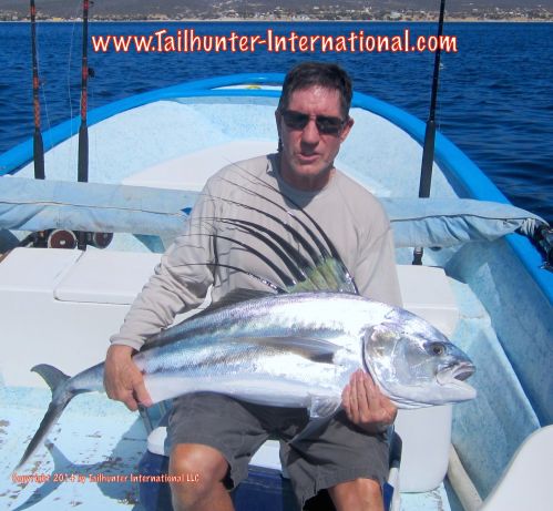 rooster jack young small tags 7-14