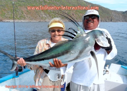 roosterfish jeanette carroll 8-14 small tags