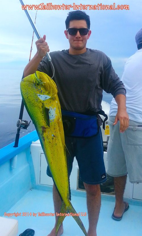 Dan Llerena tags 8-14 small dorado