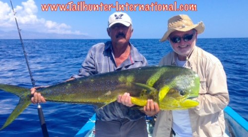 dorado bob tags small 8-14