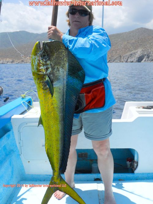 dorado gerri sandstrom tags small 8-14