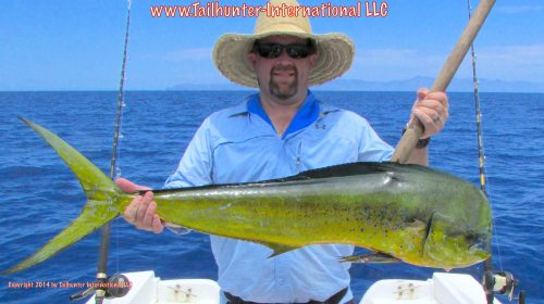 dorado luke tags brownlee small 8-14