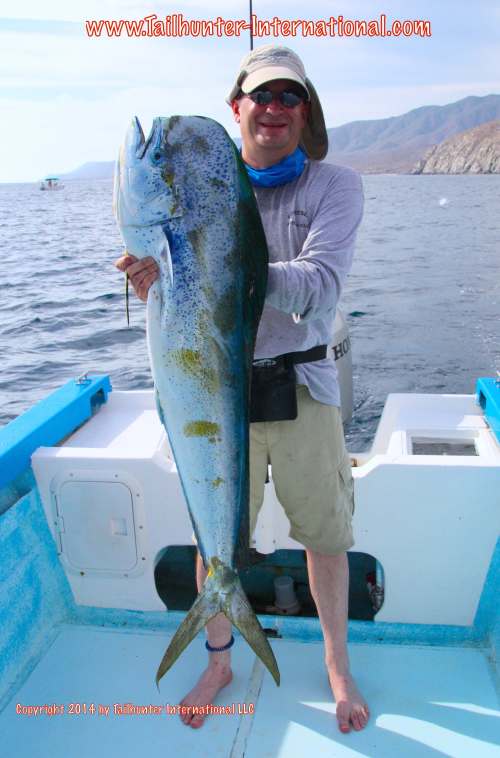 dorado tags small mike menasco 8-14