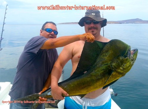 dorado Tony Pickens boli tags 8-14