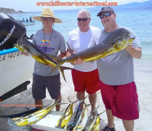 Ed Begany tags small dorado 8-14