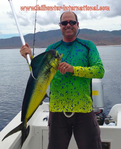 Fuschetti dorado tags 8-14