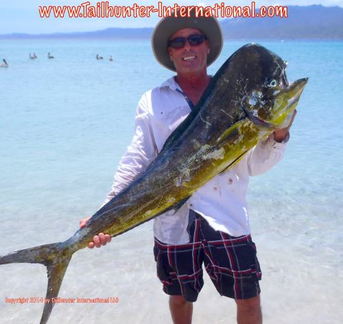 Jack Calafata tags dorado small 8-14