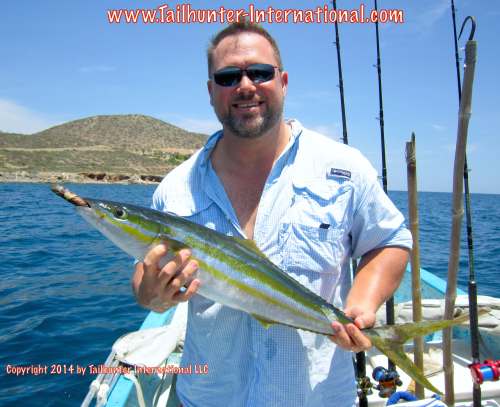 Kevin rainbow runner cigar 8-11 tags small