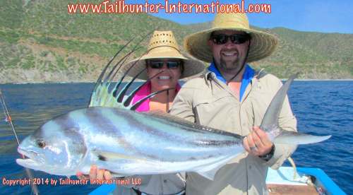 rooster Kris Luke tags small 8-14