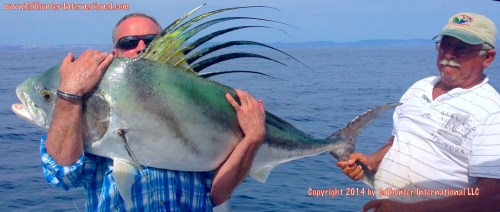 rooster Rich Normyl from PA tags 8-14