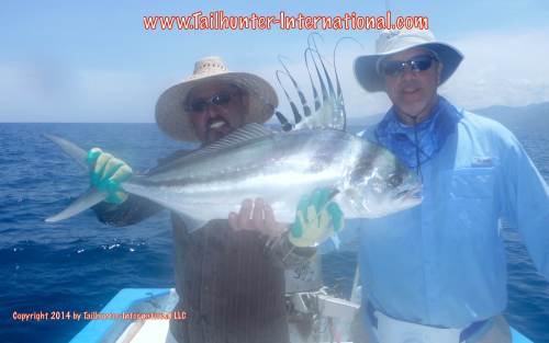 rooster tags small 8-14 George