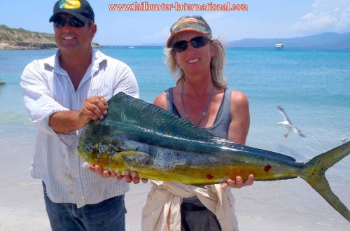 Shelley tags dorado small 8-14