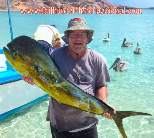 Steve Dorsey dorado 8-14 tags small