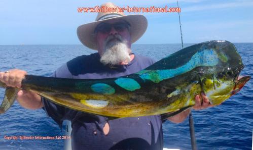 walt dorado 8-14 tags small