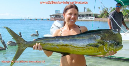 Dorado Debbie Winkleman edit tags small 9-14