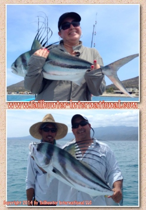 Jennings collagepro 9-14