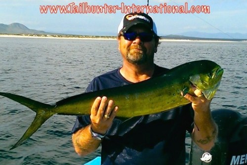 Mike Bryant dorado 9-14 tags