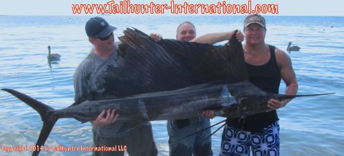 SAilfish ken cavallon 9-14 tags small