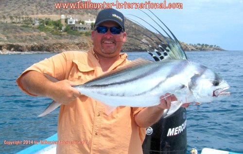 Wade Ralston rooster 8-14 tags small