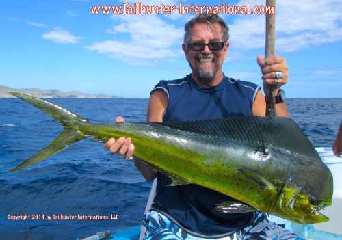 dorado bill lee tags 10-14