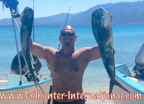 dorado manny small tags 10-14