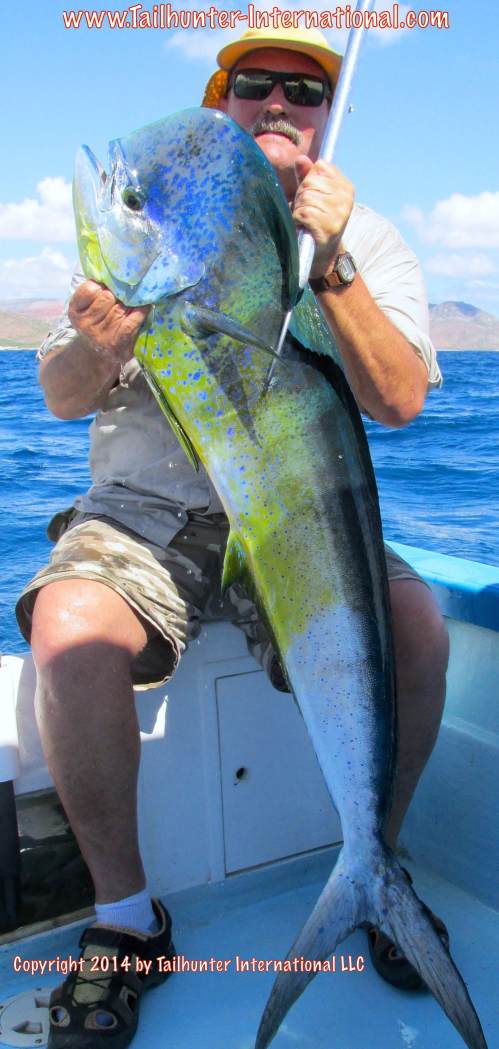 dorado steve snead tags 10-14 small