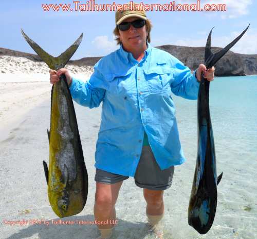 Geri Cammack dorado tags small