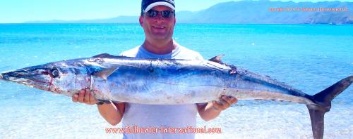 Kris Honkola wahoo 1-14 tags 10-14