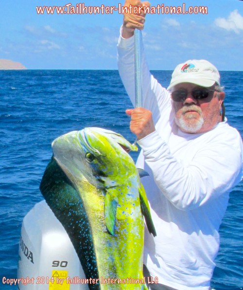 Walker dorado small tags 10-14