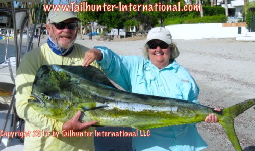 Caray dorado tags mike robbi 10-14