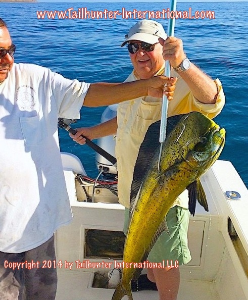 dorado john boli tags small 10-14