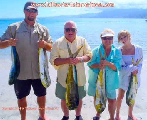 Ehlers family tags small 11-14 dorado