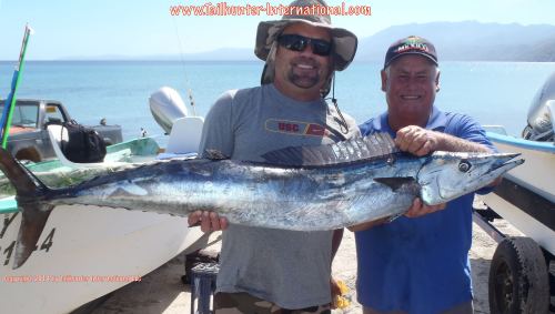 Mike Davis wahoo tags small 10-14