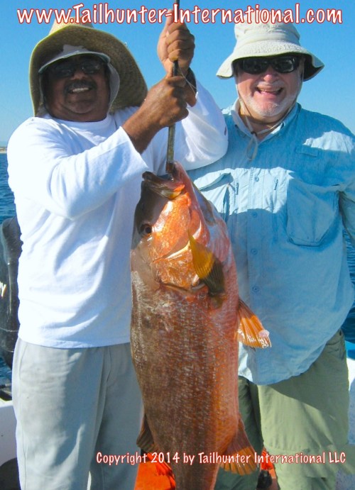 Pargo Vic Patton 10-14 tags small