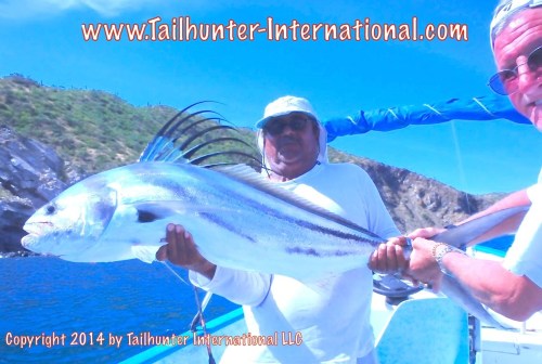 rooster john hardardt tags 10-14