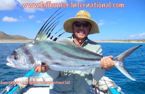 rooster virgil redwine tags small 11-14