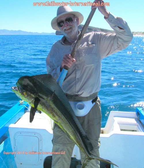 Tom Mullican tags small dorado 10-14