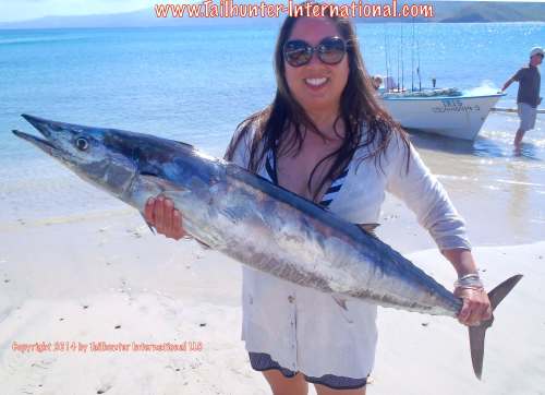 wahoo lisa hicks tags 10-14 small