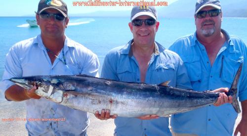 wahoo tags gary glen austin small 10-14